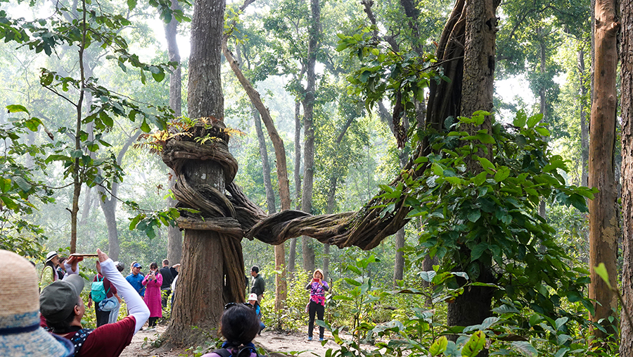 尼泊尔十堰,尼泊尔为什么这么穷