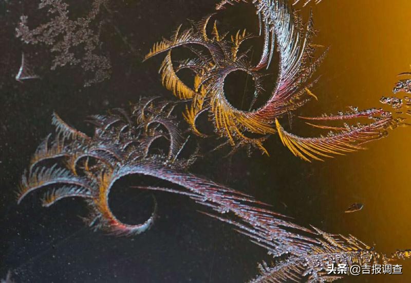 玻璃窗上的霜花像什么,玻璃上的霜花是什么样子