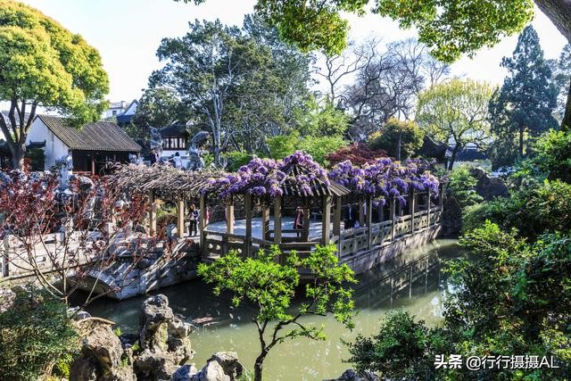 苏州园林狮子林附近,苏州园林之狮子林赏析