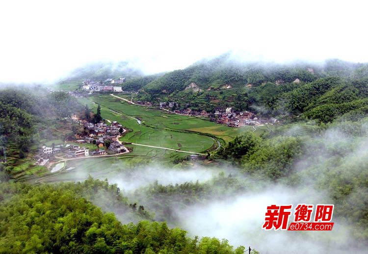 衡阳正青春科技发展,衡阳农业农村新闻