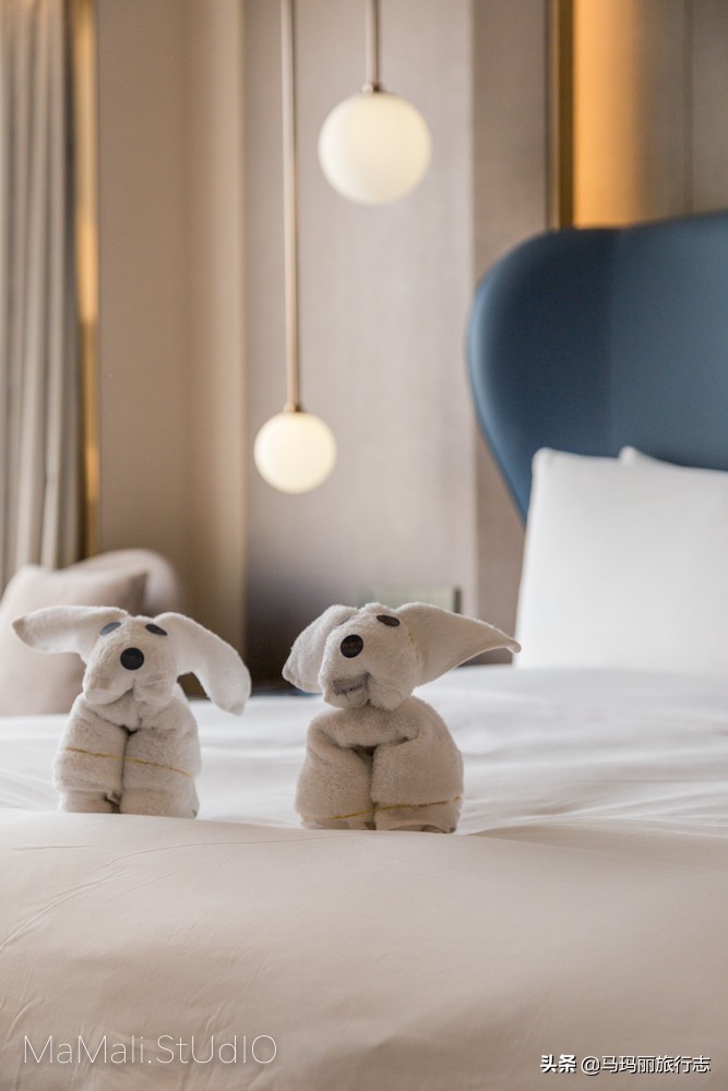 上海虹桥铂瑞酒店攻略,上海虹桥绿地铂骊酒店到外滩