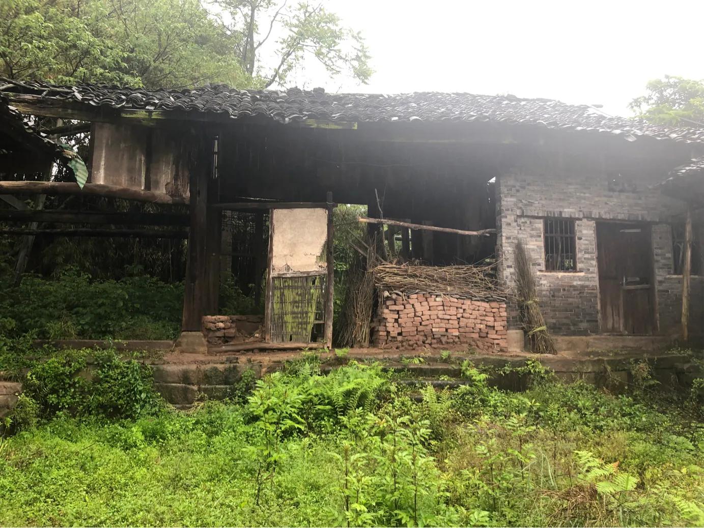 马家岩紫色花树,马家岩宜居