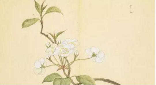 诗经中最唯美的句子适合作文,诗经高考必背名句100句