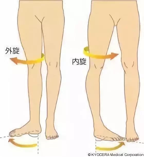 上身很瘦但是腿特别粗,假胯宽的原因和调整