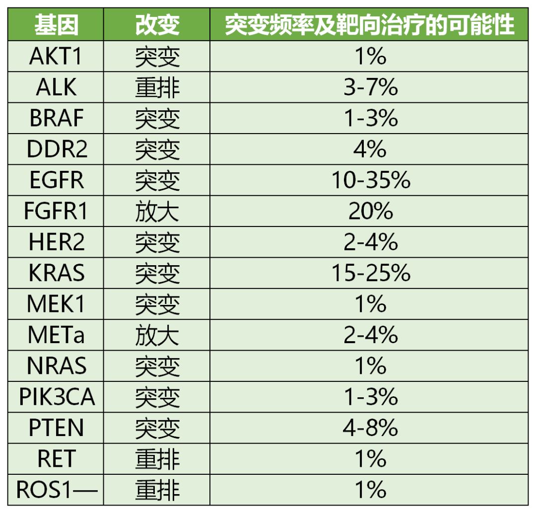 肺癌治疗靶向药物有哪些,治疗肺癌的靶向药有几类