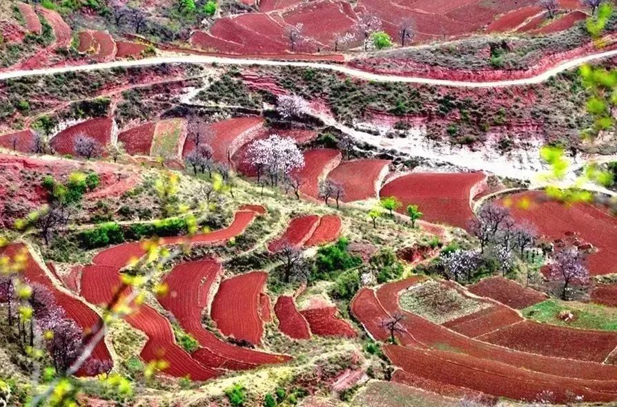 秋天最值得去的四个地方,秋天全部的风景