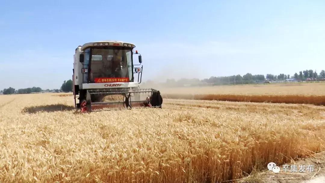 冠军是怎样炼成的作文,冠军是怎么炼成的