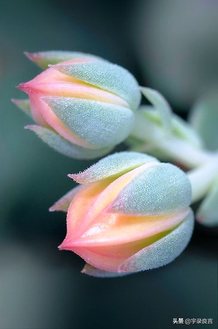 禅意感悟人生的经典句子,禅意人生感悟语录