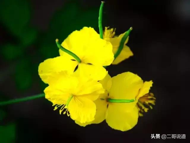 密云探寻历史足迹,密云发现神秘遗址