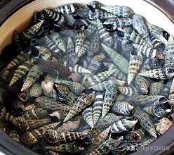 大连海鲜吃货,大连海鲜的种类