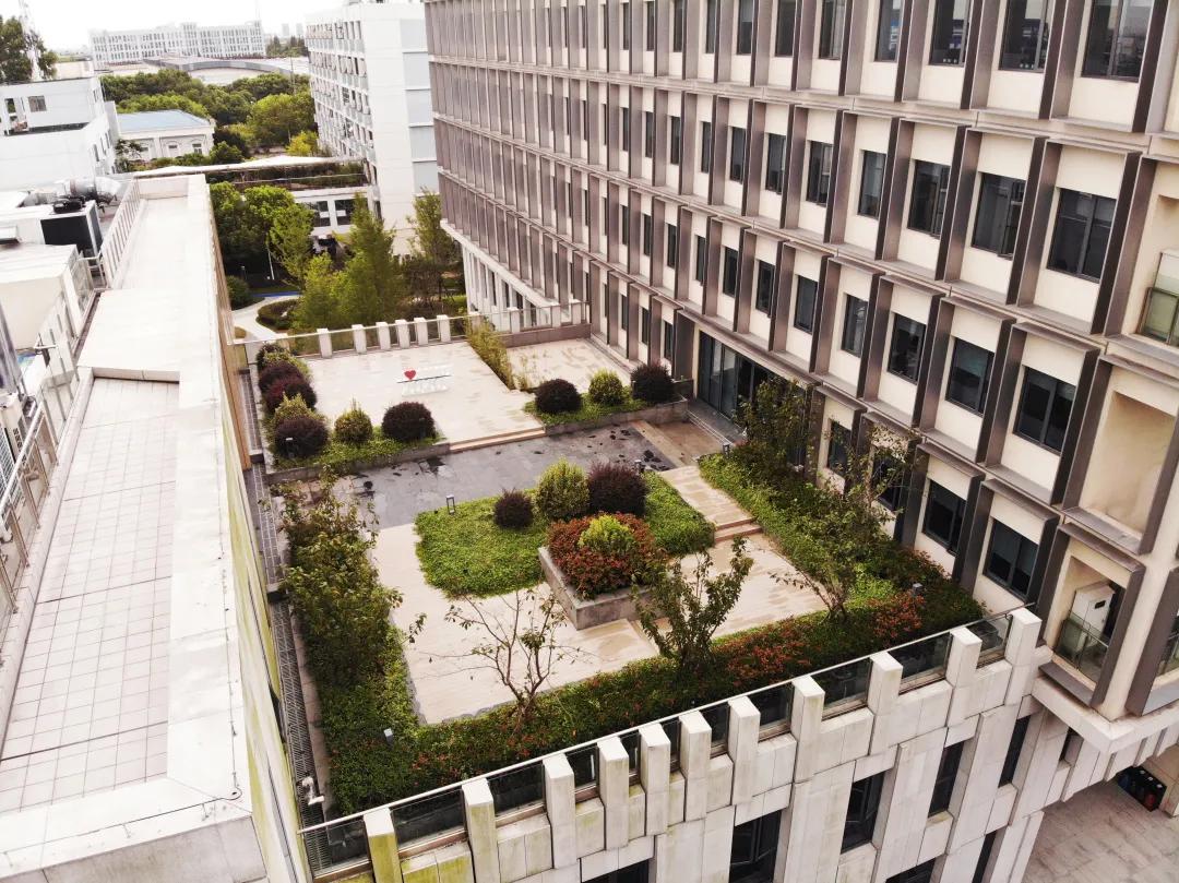 沪上“花园式”工地办公是怎样的体验?来看看这个白玉兰奖工程吧
