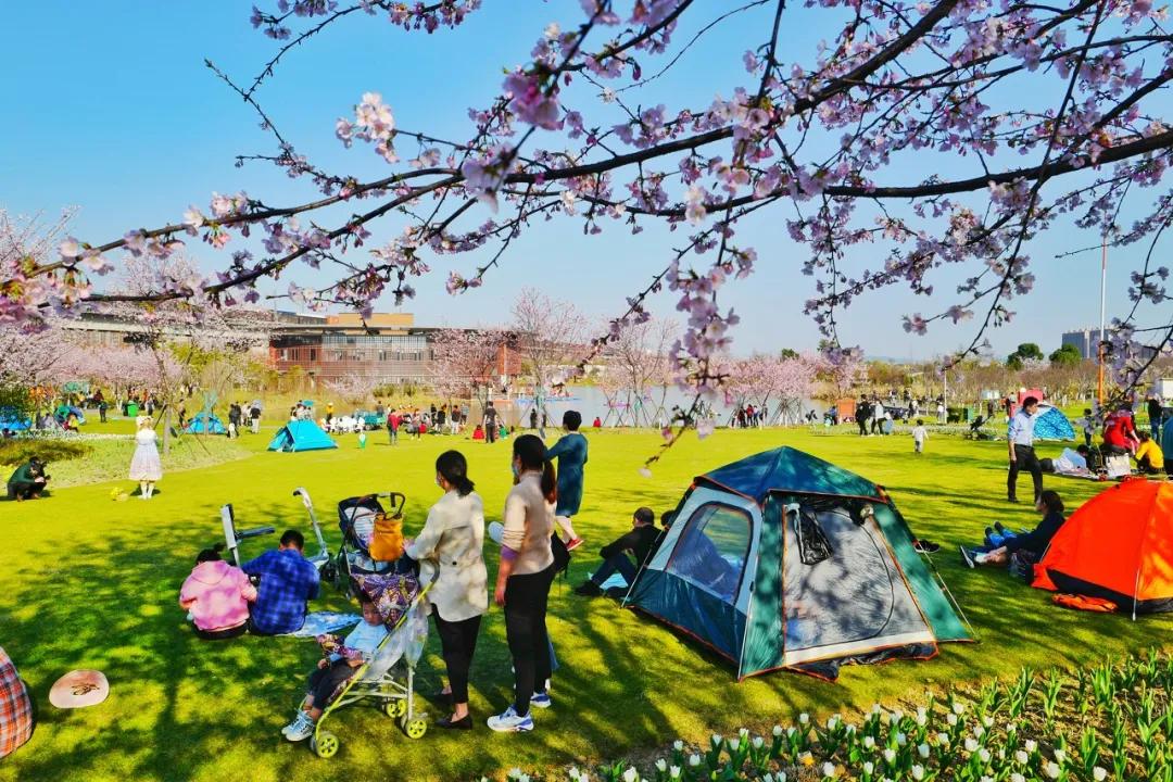 宁波周末走走,宁波旅游必去十大景点推荐自驾游