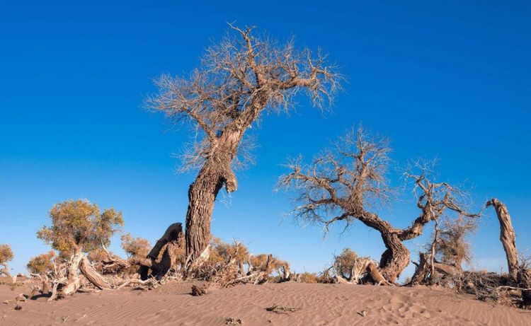 教改20年，三线以下城乡素质教育的问题和希望（原创