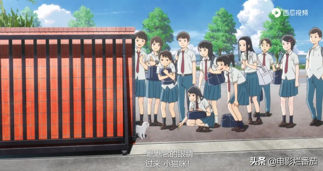 这部温情的撸猫片，让我哭得溃不成军，这是全世界猫*党**的胜利