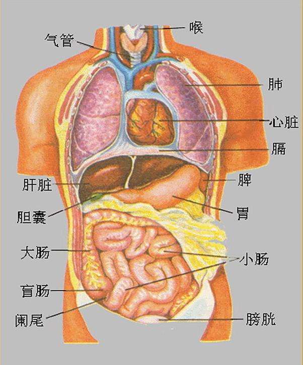 人为什么会生病最新版,从哲学角度看人为什么要生病