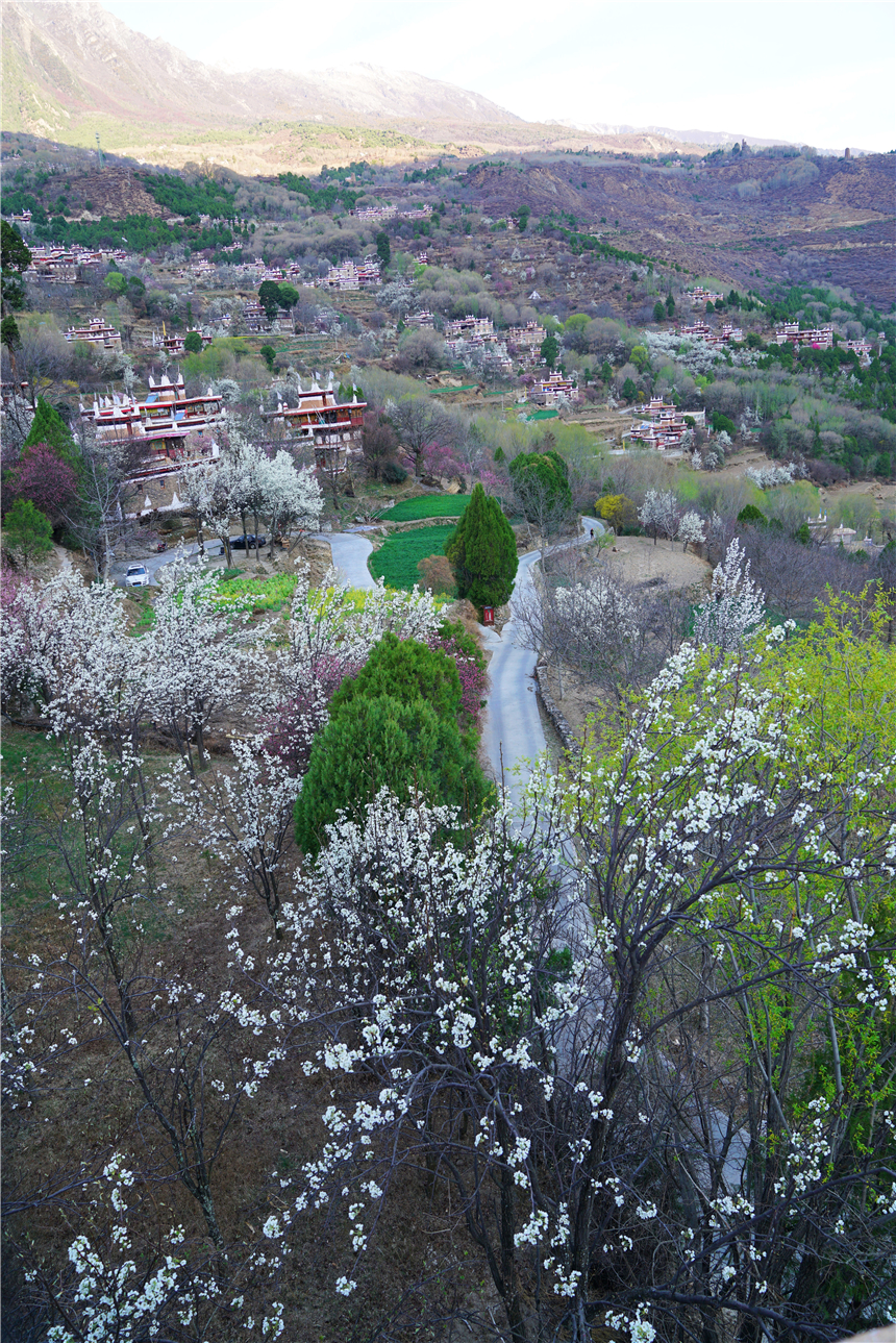甘孜州有个很漂亮的村寨,甘孜州藏寨