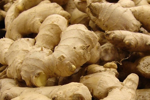 大姜种植技术和管理技术书,大姜的种植方法及管理