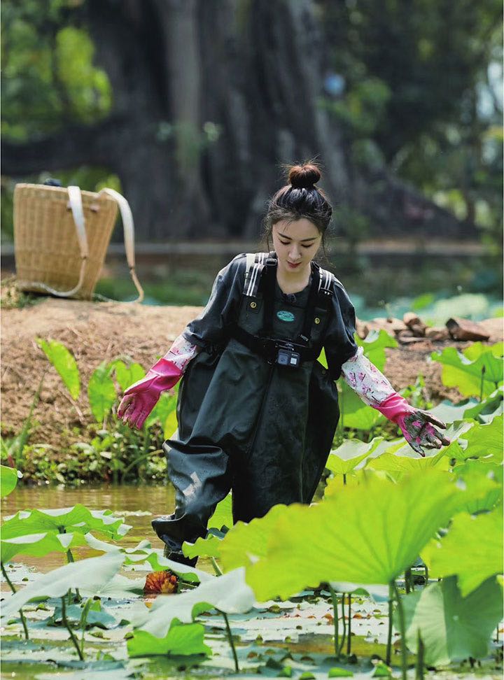 薇娅直播卖货*疆新**棉超2300万,靠的不仅仅是流量