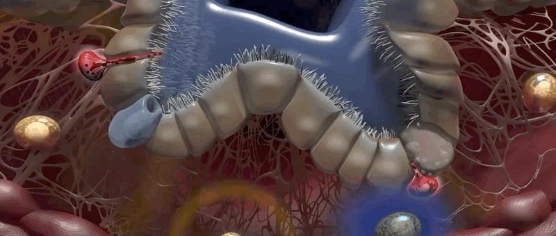 哮喘过敏症的症状,呼吸道过敏哮喘症状