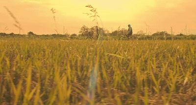 泪目！父亲离世后，她用爱和释怀，治愈了每一个过路人...