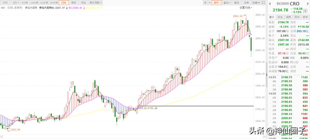 神仙圈子十倍牛股,大盘震荡整理机构追买强势股