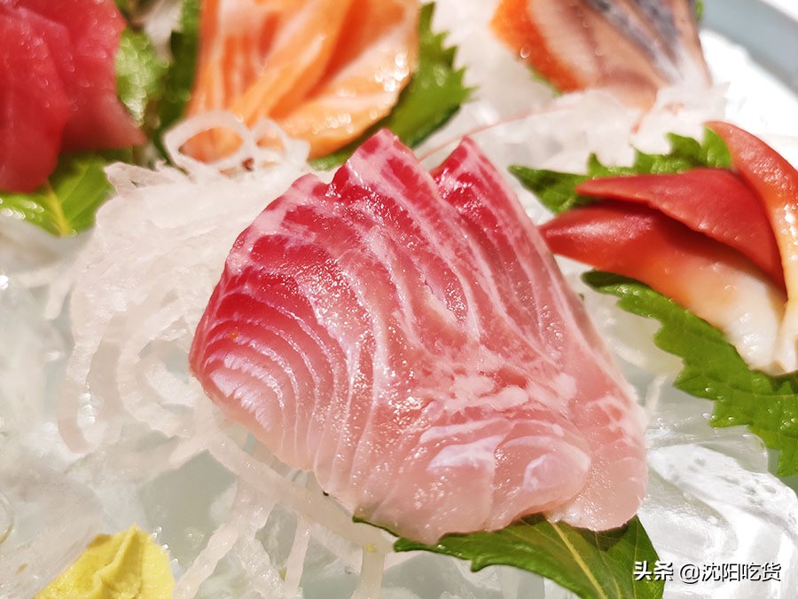 日本海鲜刺身怎么吃,各种各样的大海鲜刺身