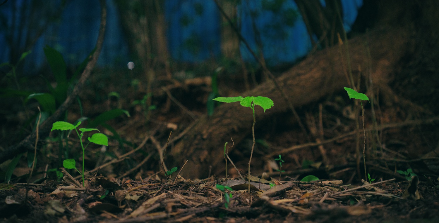 关于二手设备的问题,关于二手东西