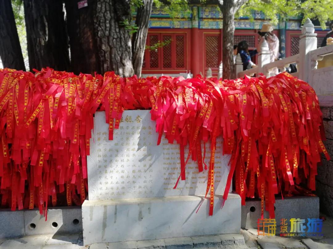 观日落的最佳世界名胜景点,中国旅游景点看日落的好地方