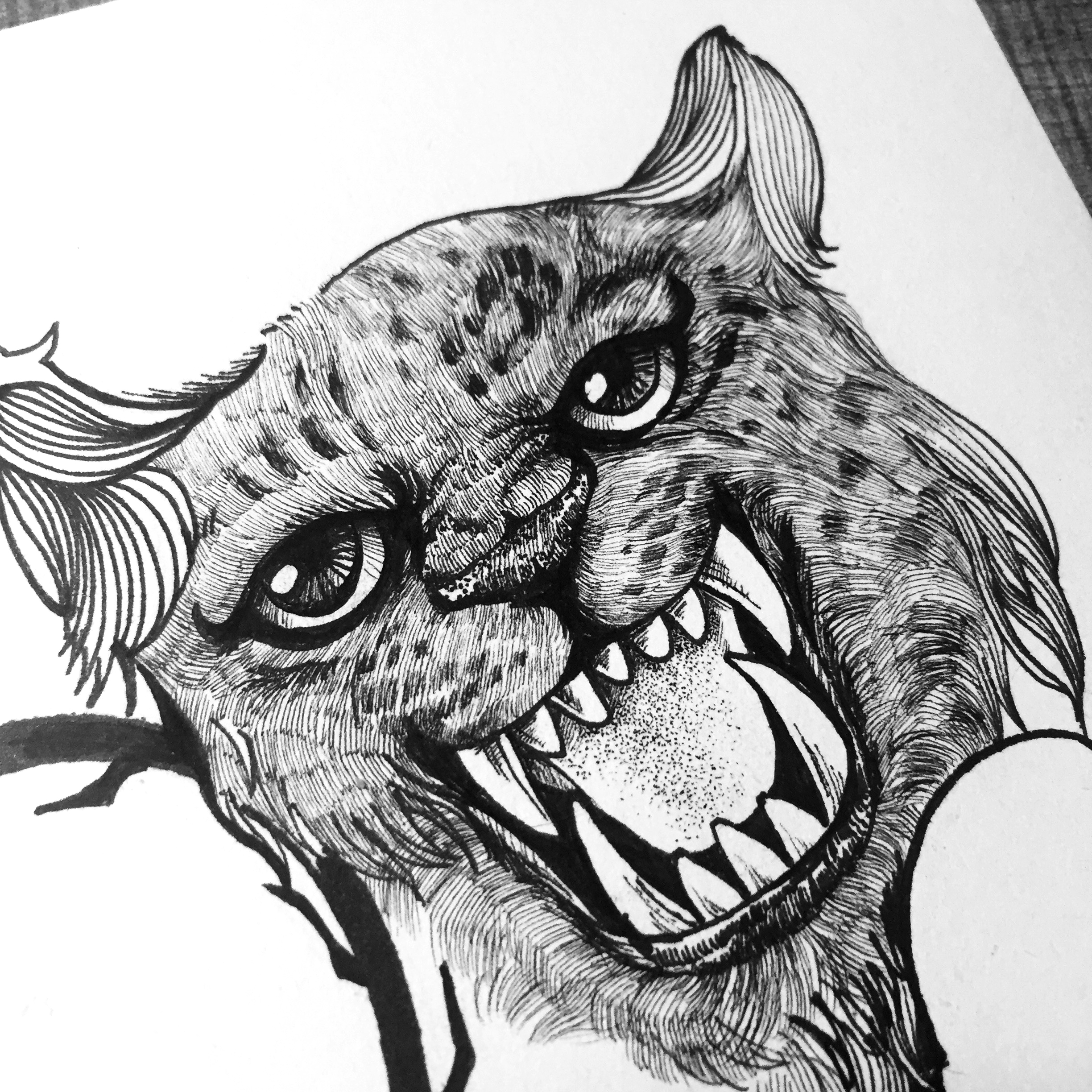 线描绘画教程入门零基础,线描画自学教程哪种好