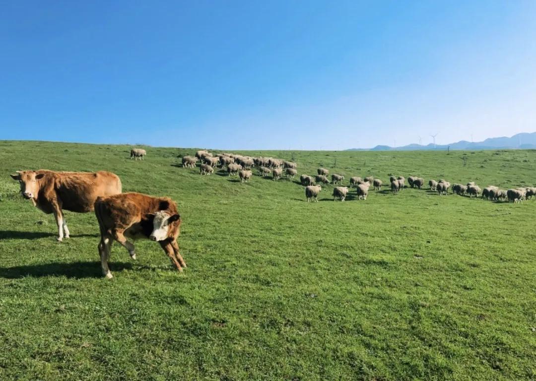 旅拍贵州！邂逅每一帧浪漫风景