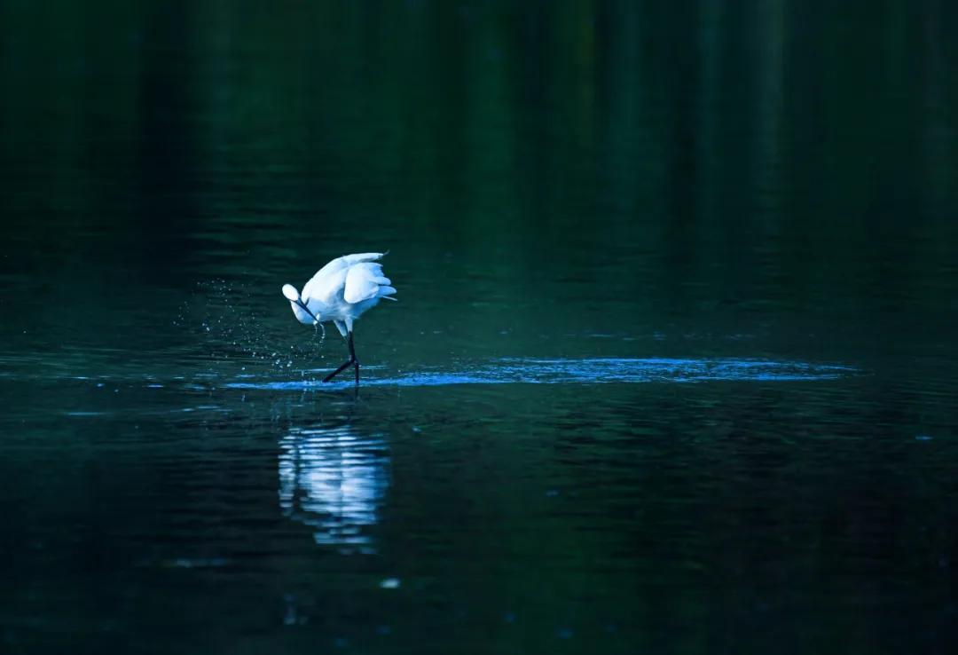 香港第14届全国摄影艺术展,第29届全国摄影艺术展览获奖名单