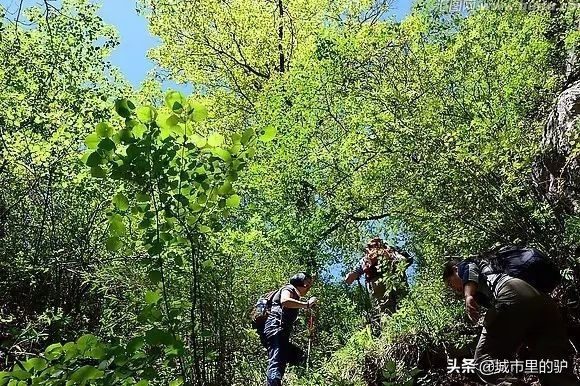 老驴的户外忠告,浅谈户外新驴十大误区