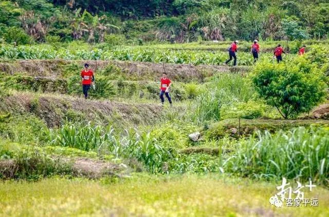 平远免门票景点,国庆人少好玩的地方推荐