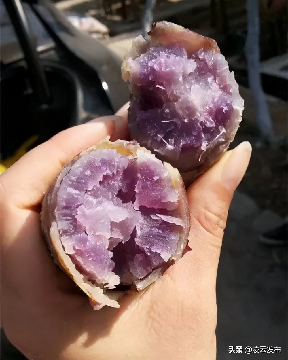 女神“价”到，不得无“礼”！浩坤湖景区女神节大礼钜惠来袭！