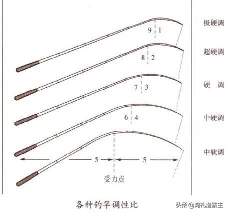 新手钓鱼如何选鱼竿,钓鱼新手该如何选择鱼竿