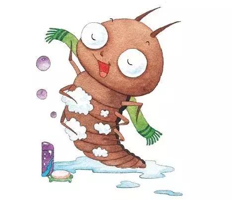 你原来是这样的萤火虫，估计老师们也很少知道！