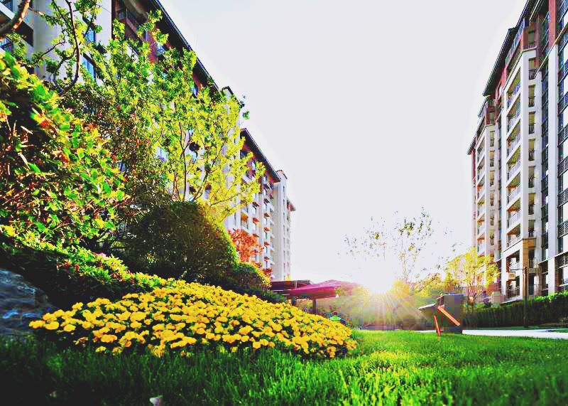 西安碧桂园浐灞房源,碧桂园顶跃西安浐灞