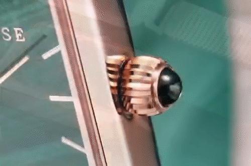 郑爽力推，这款千元内的轻奢腕表，小众但不平庸