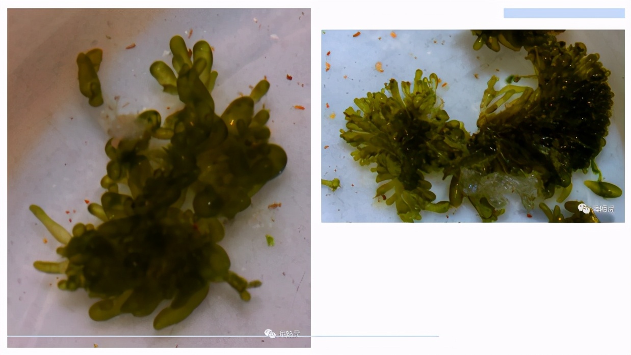 怎么才能从众人中脱颖而出,如何让自己从人群中脱颖而出