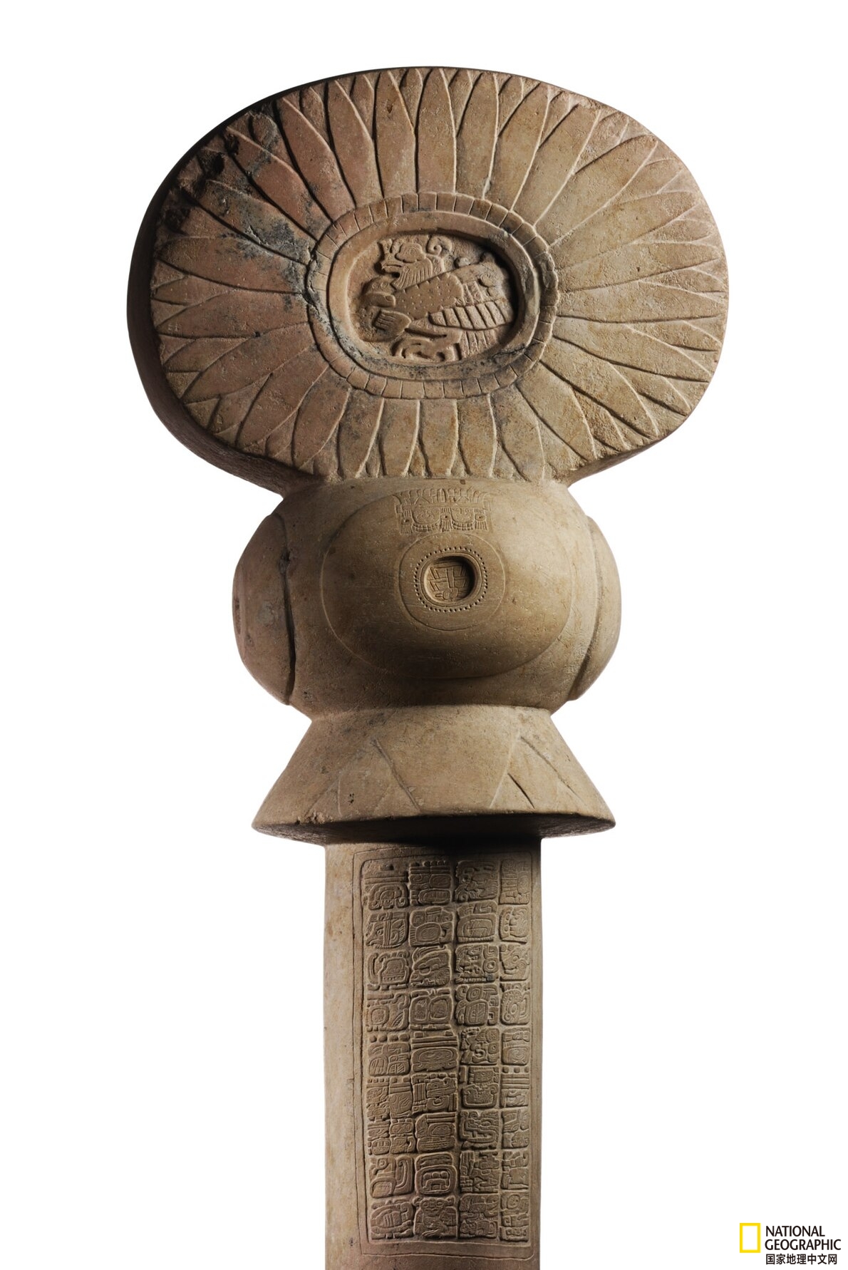 考古学家发现神秘古墓,考古学家发现神秘墓葬完整版