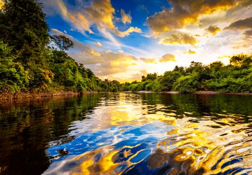 亚马逊雨林看起来是绿色天堂，实则是人类禁区，到底有多恐怖？