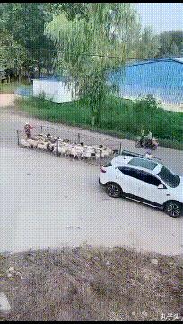 小伙子真帅搞笑视频,小伙子很优秀搞笑图片