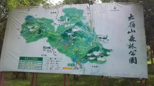 在辞旧迎新的时刻回顾过去,在过去的一年我们都经历了什么