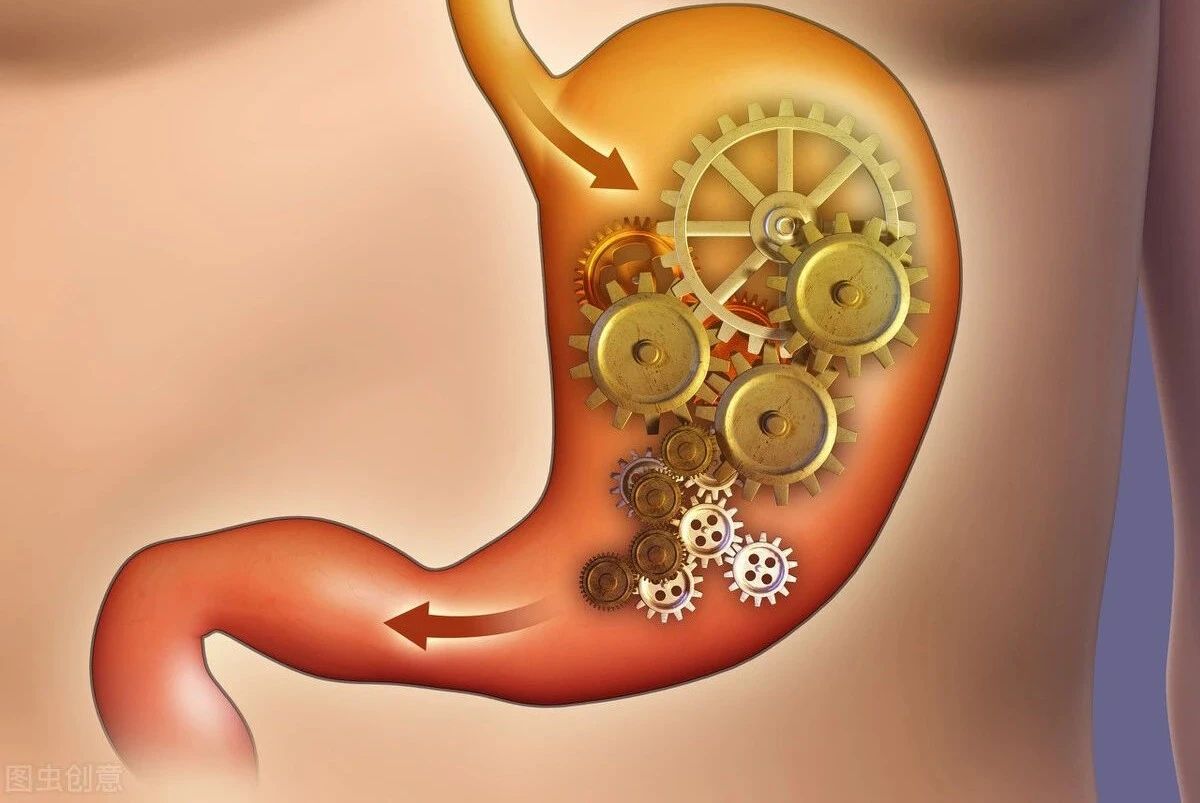 脾虚犯困怎么治疗,脾虚食欲不振中药治疗