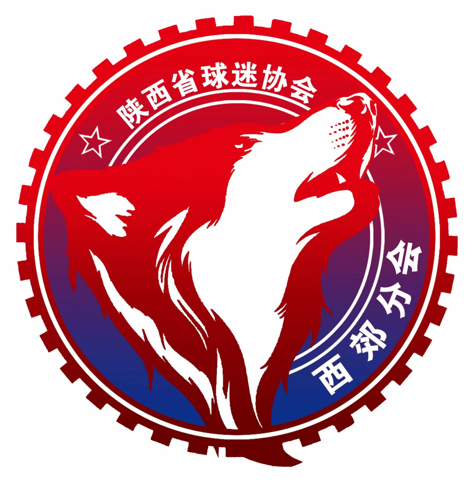 我与足球结下了不解之缘,陕西足球记忆