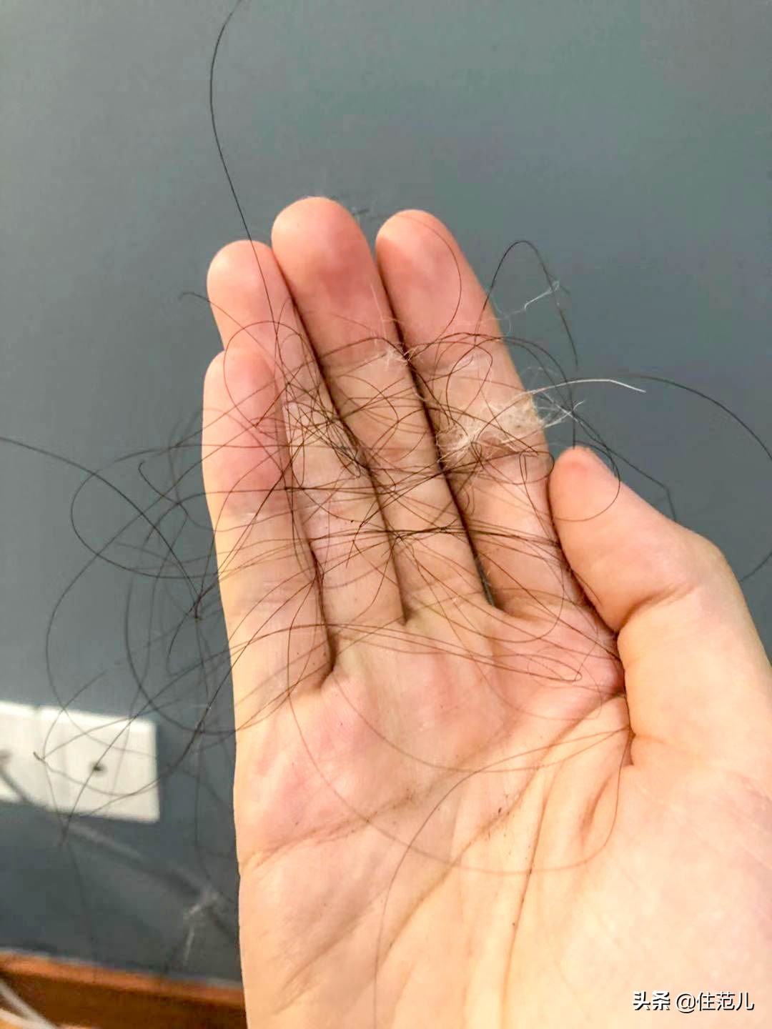 真假戴森的区别,网红戴森是真实用还是真鸡肋