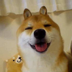 儿童游乐场利润大吗,儿童游乐园利润分析