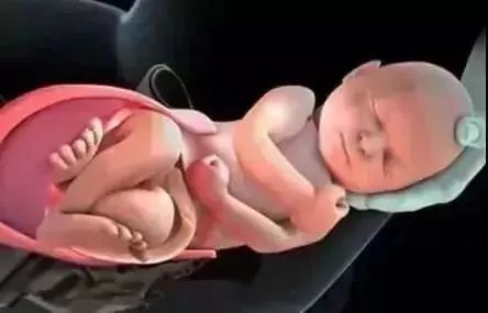 婴儿怎么从产道出生的,如何告诉孩子是从产道生出来的