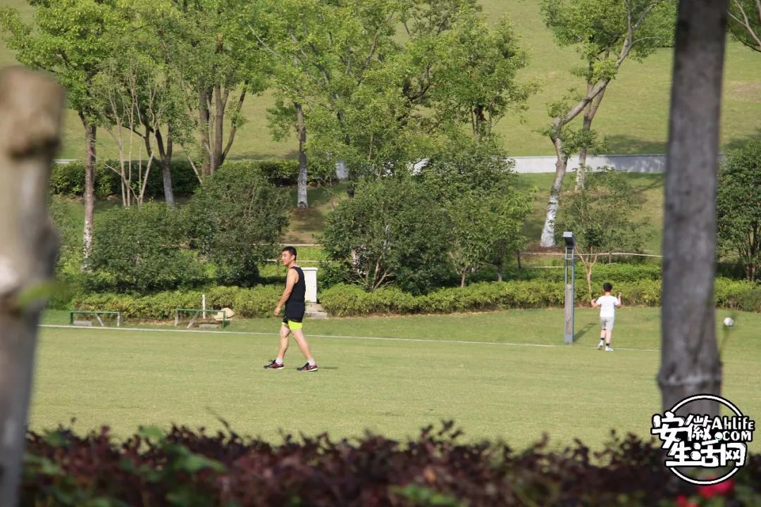庐阳老城内藏着一处最大的综合性森林公园，人少景美，关键还免费