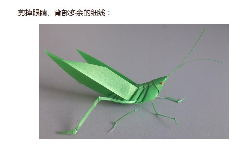蚂蚱的编织过程图片,蚂蚱的制作方法